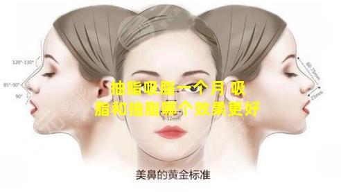 抽脂吸脂一个月 吸脂和抽脂哪个效果更好